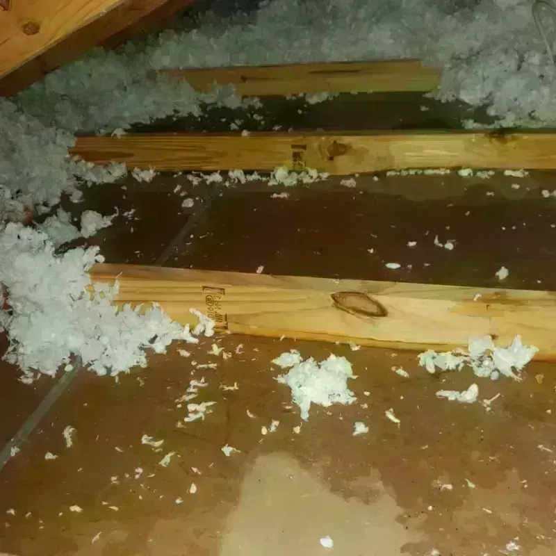 Attic Water Damage in Plant City, FL