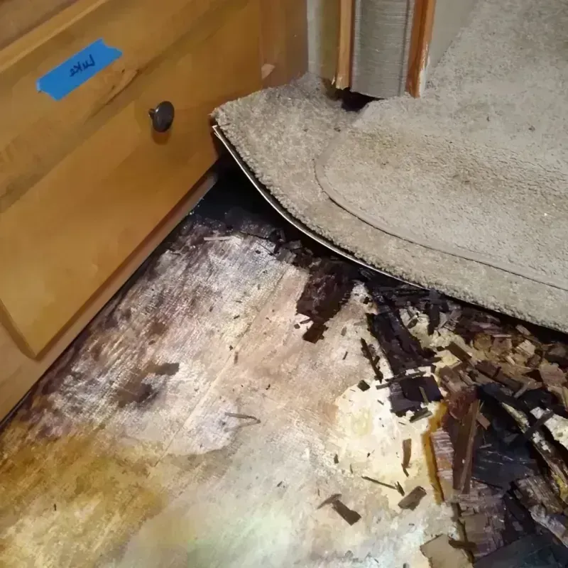 Best Wood Floor Water Damage Service in Plant City, FL